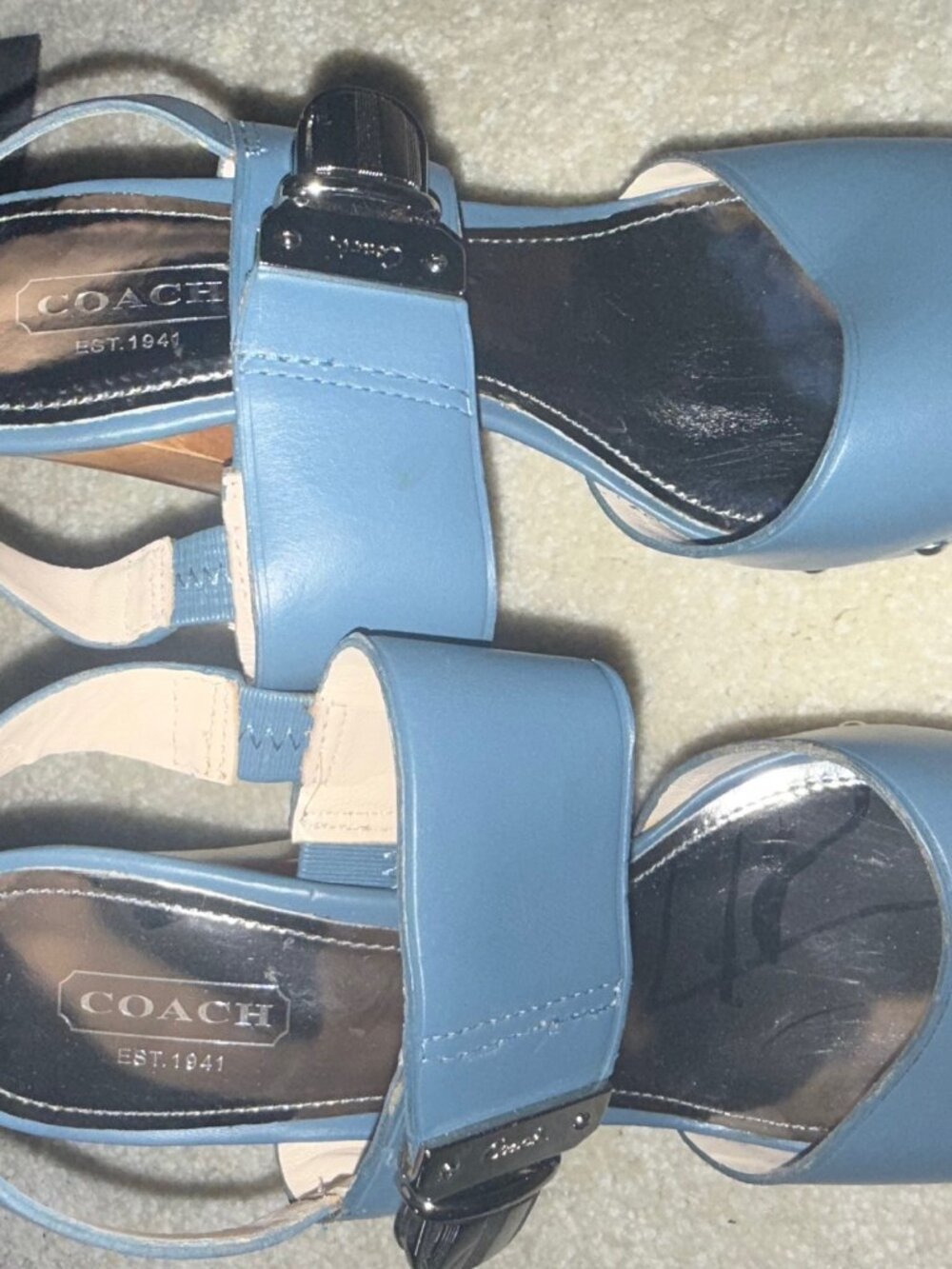 Coach Darcy Platform Sandals